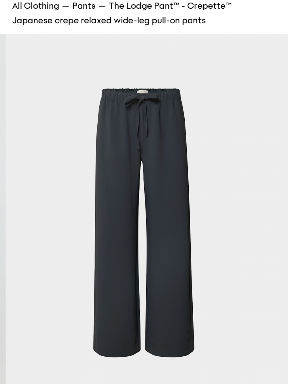 Aritzia The Lodge Pant™ Wide-Leg Pull-On Pants in Navy NWT